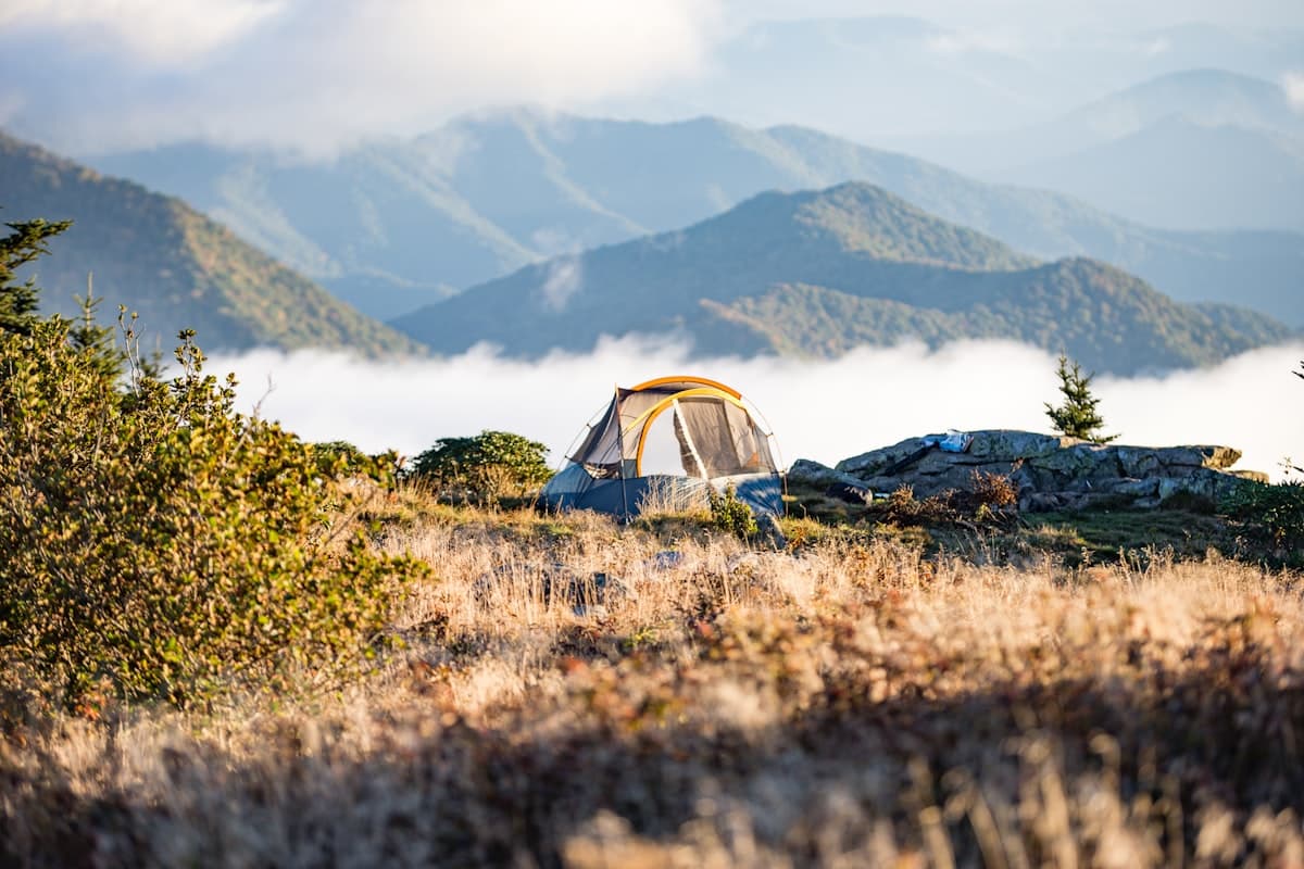 Beginner-friendly campsite setup in the forest