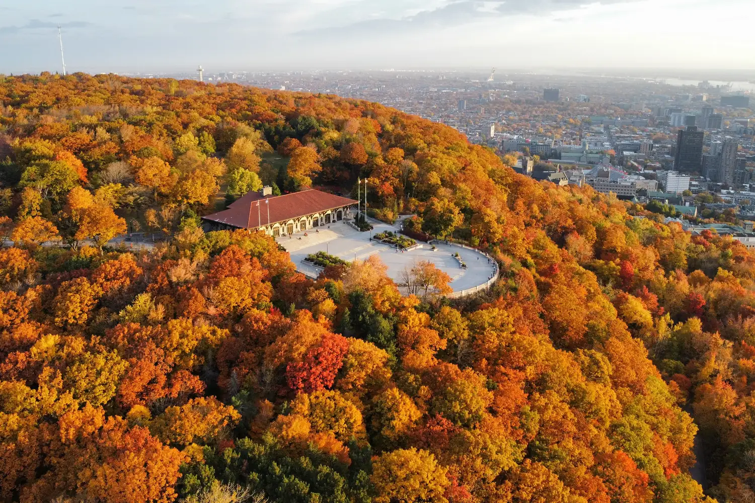 Aerial view of Mount Royal covered in orange and gold autumn foliage with Montréal beyond