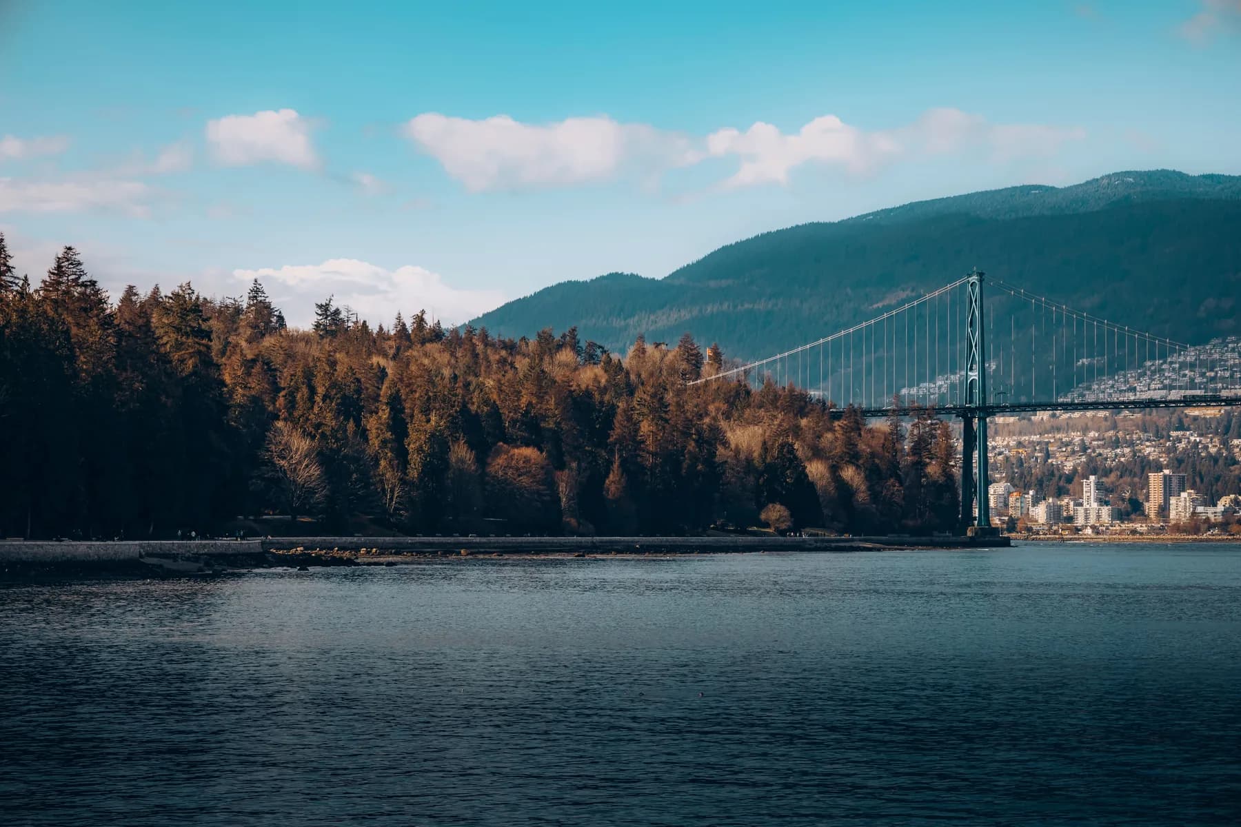 Lions Gate Bridge beside Stanley Park with Vancouver and the North Shore mountains beyond
