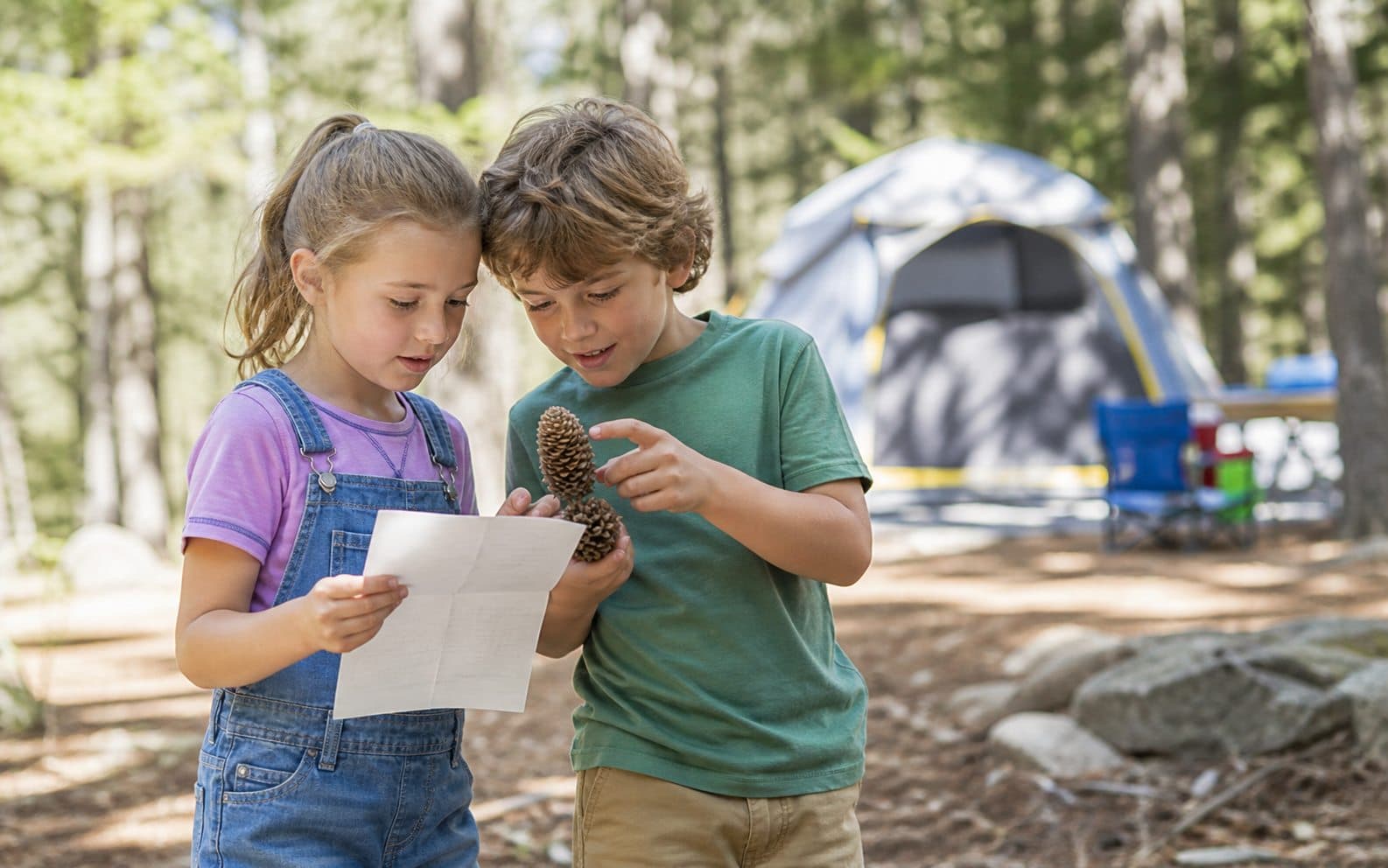 Children examining pine cones during a supervised campsite activity
