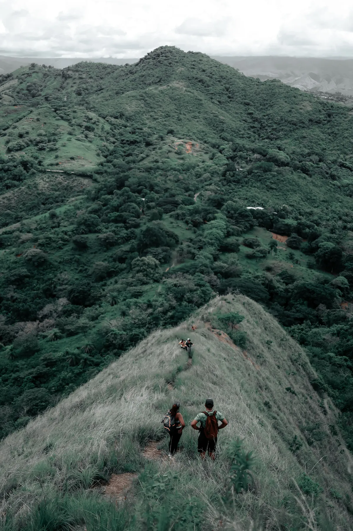 A hiking group following a narrow trail along a green mountain ridge