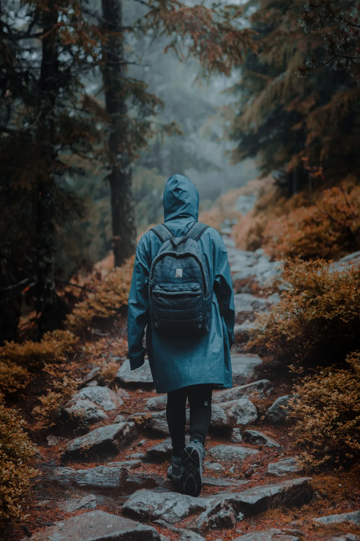 A lone hiker wearing a rain jacket on a misty forest trail